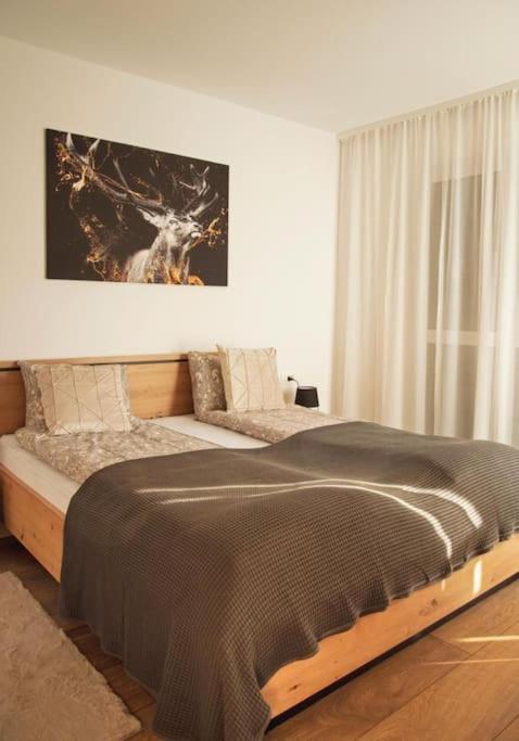 5 Dream Apartment 5 Cu Parcare Privata أرادايا المظهر الخارجي الصورة